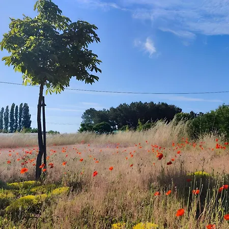 le grand pré * Longué