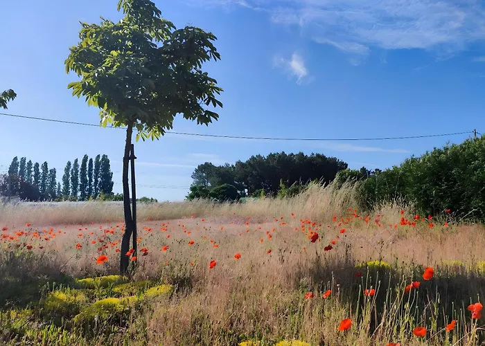 Le Grand Pre * Longué